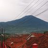 dutaayam01
