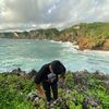 wafiqnabhan7