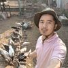 rambonfarm2