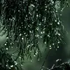 relaxingvirtualrain2033