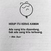 loly_yyy12