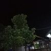 yuwoiu