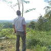 ndogtawon