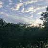 eciilia_