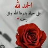 naimaber0