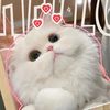 cantiklove7