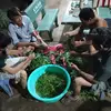 lehongcanh86