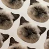 sweetlyann
