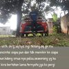 mbrose89