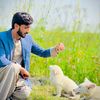 zeshan781r