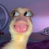 nrmaff_