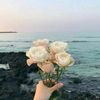 fatmaahmad951