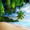 salma_a_w