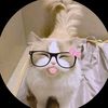 basmala_617