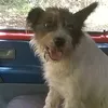 Didi