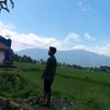 hermilll31