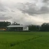 rstuajpmngks