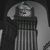 abha_313