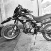 lorito961