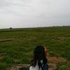 anteelidd