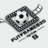 FutFrames2D