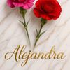 alejandravazquez520
