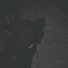 heldika_ilham