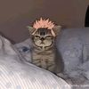 jeanpierre_2000