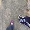 sunkisseddaisy1_