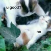 ugood412