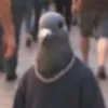 unviejosabroso