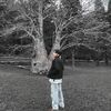 romsey_