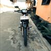 astrea_bulussiluman