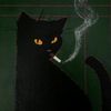 _vante7_