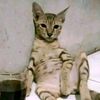 menyelamatkanbumi