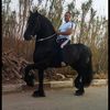 antarbadis