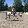 ridewpaqha