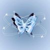 aulia07gmail.com2