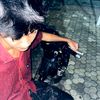 aldian_zzz