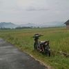 sandinurhidayat11
