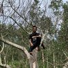 nandarrawr