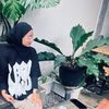 stego_rwrr