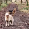 zeusy_boy2019