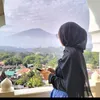 kucing_471