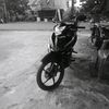 jrinzxx