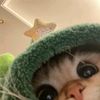 nzslwaprzllaa