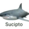 satriandi16