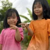 chipgao5