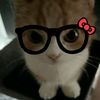 kyowmie_