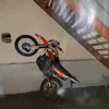 pantera_v0d